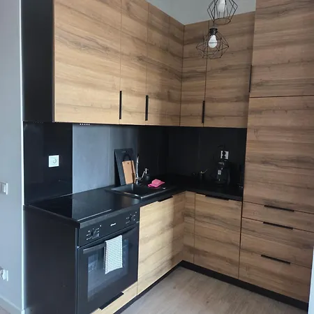 Apartment Hanza Tower Luxury *